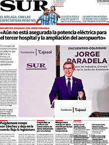 Periodico Sur