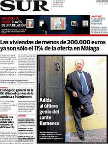 Periodico Sur
