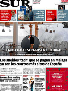 Periodico Sur