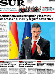 Periodico Sur