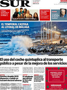 Periodico Sur