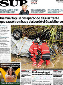 Periodico Sur