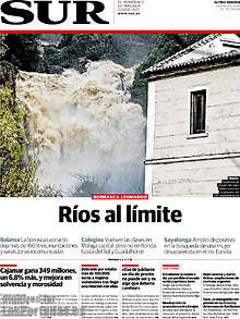Periodico Sur