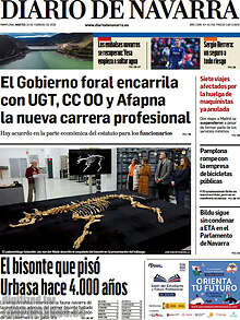 Periodico Diario de Navarra