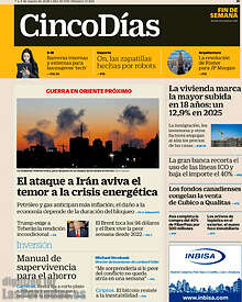 Periodico Cinco Días