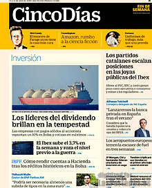 Periodico Cinco Días