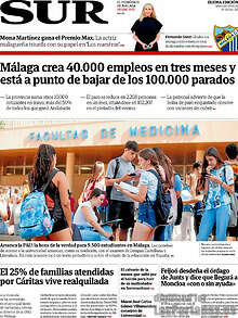Periodico Sur
