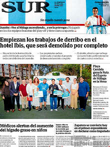 Periodico Sur