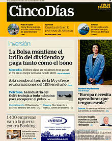 Periodico Cinco Días