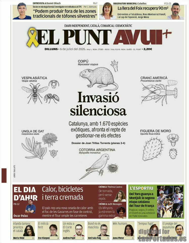 El Punt