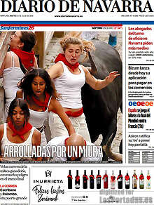 Periodico Diario de Navarra