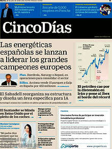 Periodico Cinco Días