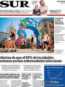 Periodico Sur
