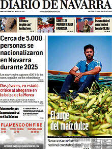 Periodico Diario de Navarra