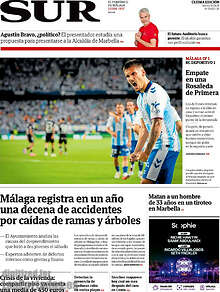 Periodico Sur