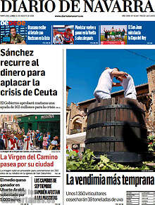 Periodico Diario de Navarra