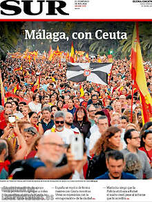Periodico Sur