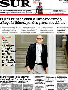 Periodico Sur