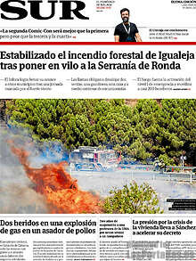 Periodico Sur