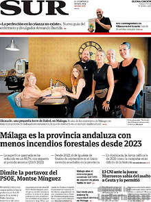 Periodico Sur