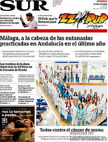 Periodico Sur