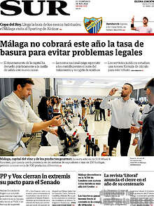 Periodico Sur